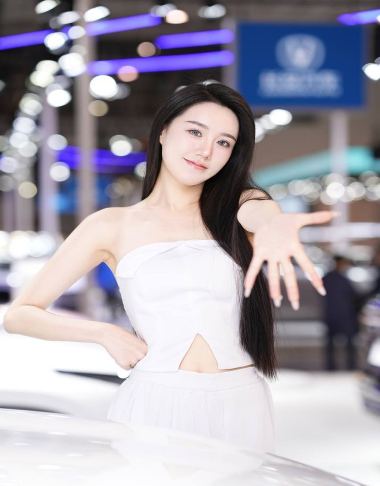 欧美人动物ppt免费模板大全,网盘高清资源